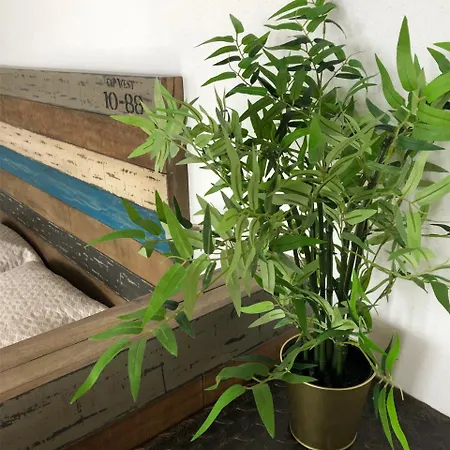 L'authentique Apartman