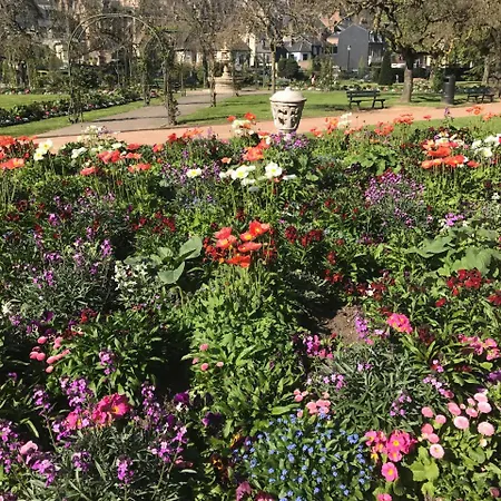 Apartment L'authentique *